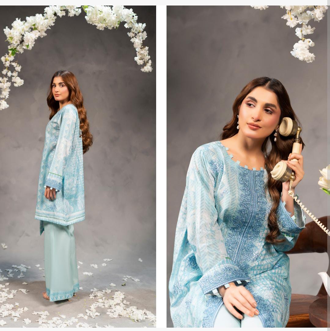 2Pc Zareen Collection By safanoor
